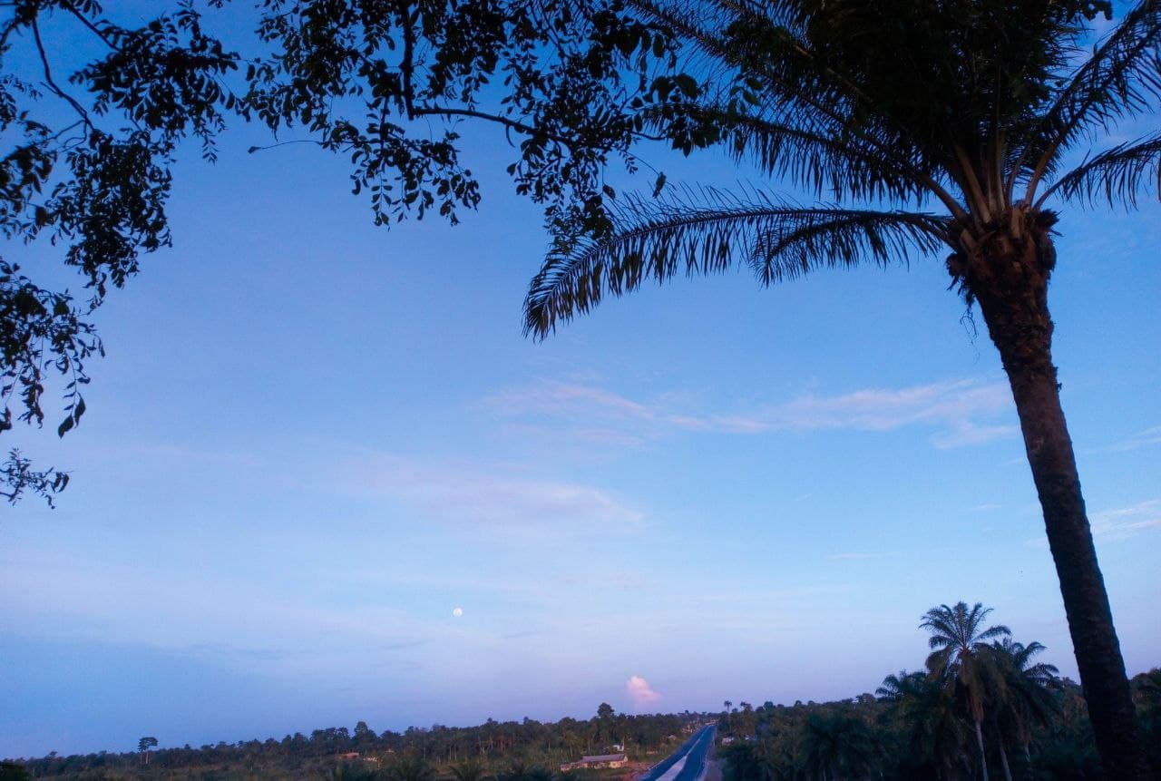 MOCHAM homeopathy medical education - alternative medicine training in Nigeria, medical professional teaching natural healing methods